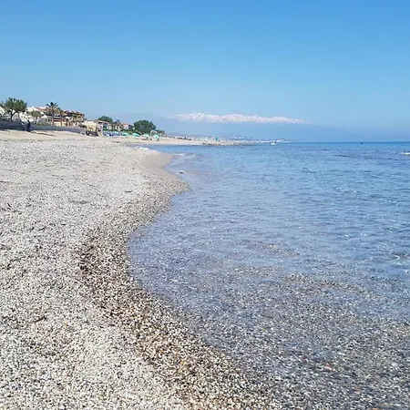 Arokaria *